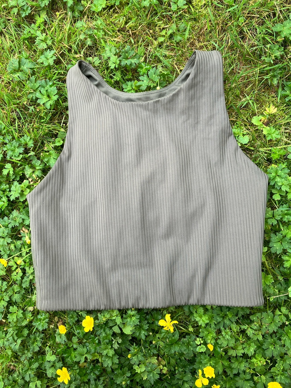 Girlfriend Collective Dylan Ribbed Tank Longline Bra in Cyprus Small